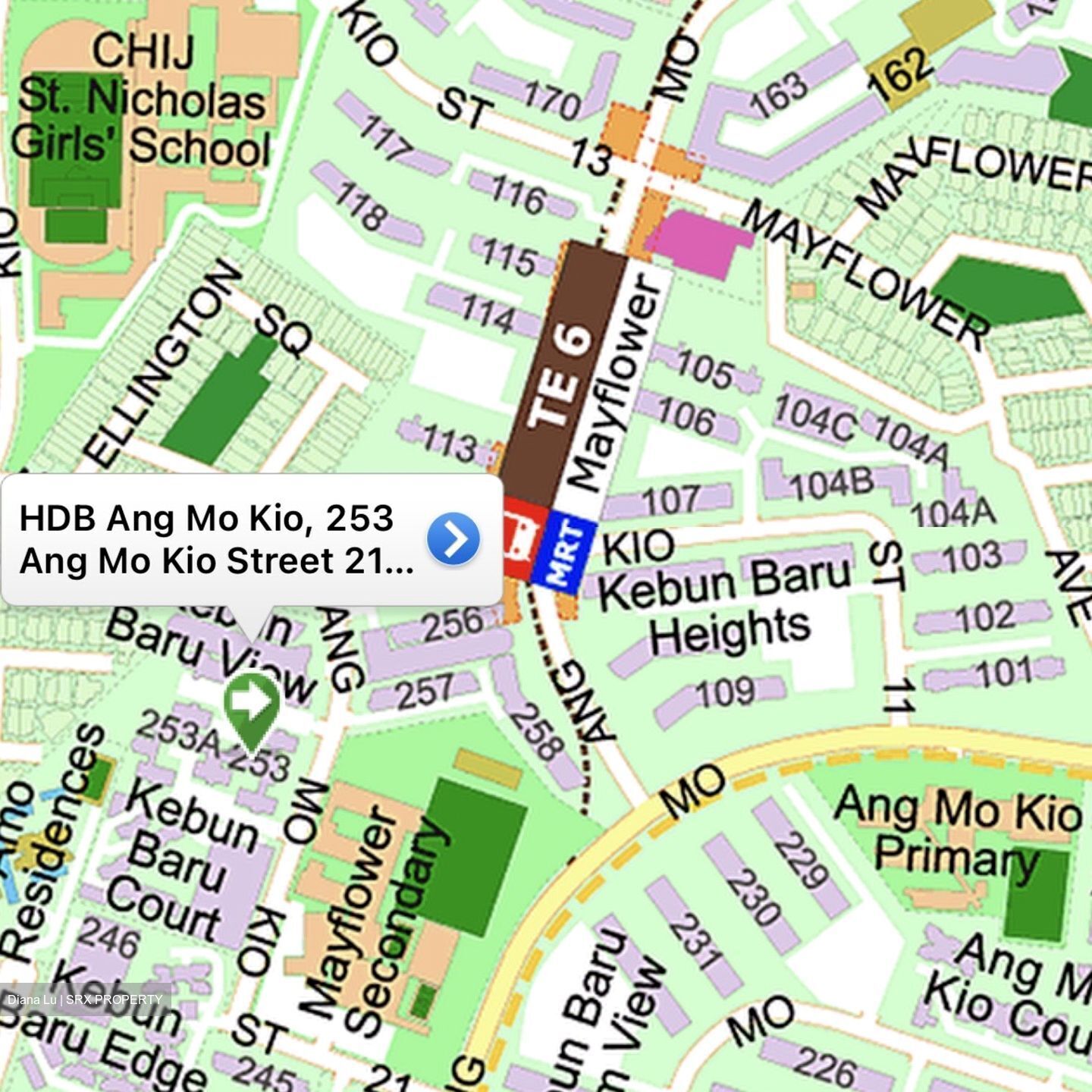 Blk 253 Ang Mo Kio Street 21 (Ang Mo Kio), HDB 5 Rooms #545736921